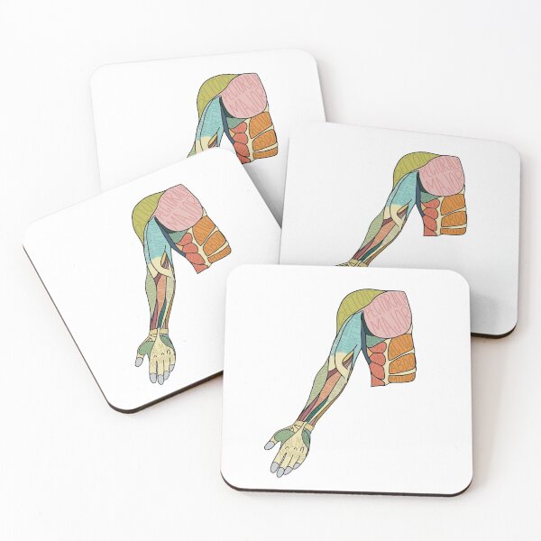 Item preview, Arm Muscles Labeled designed and sold by AtlasPrints.