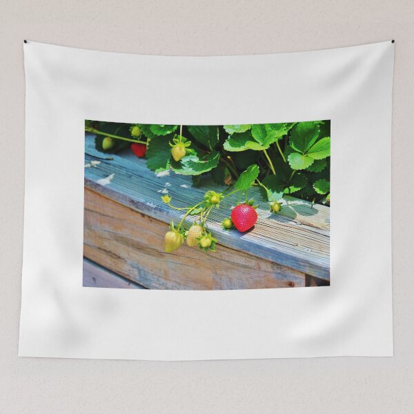 Item preview, Strawberry Plants designed and sold by Cynthia48.