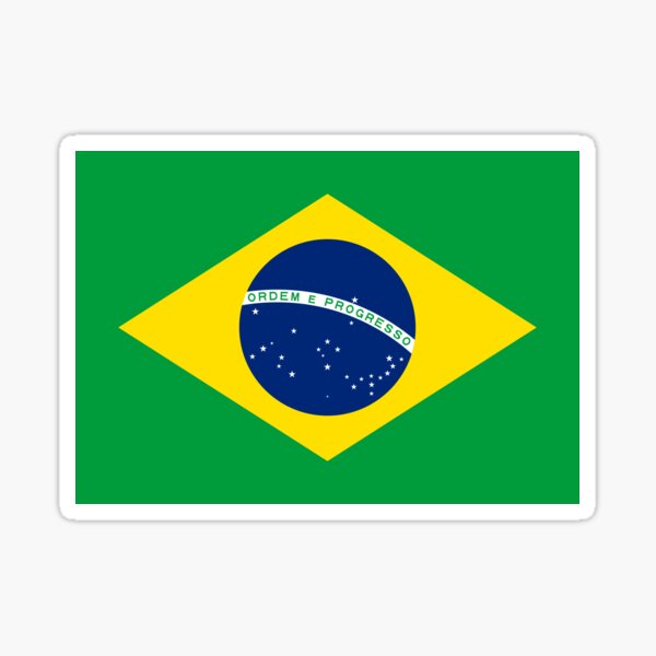 Giant Flag of Brasil Brazil Brazilian Bandeira do Brasil