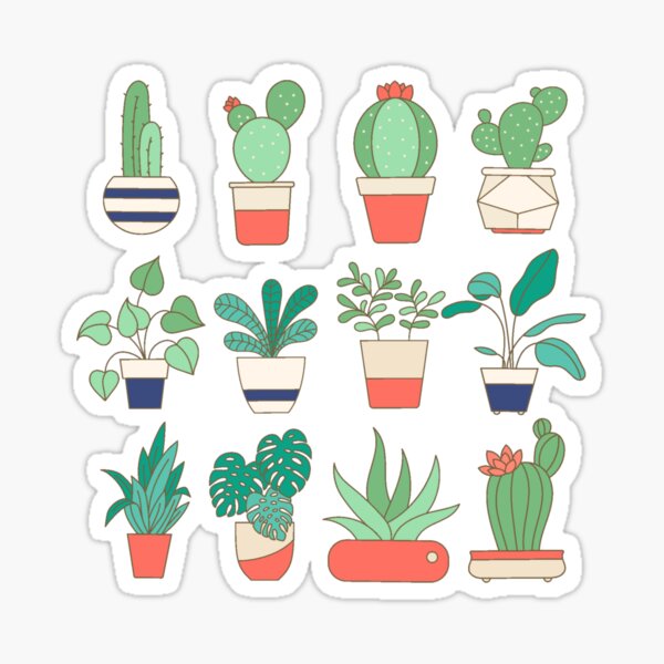 succulent plant sticker by kazoza redbubble