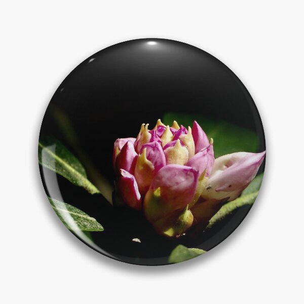 Item preview, A Flower in the Spotlight designed and sold by drgriffin.