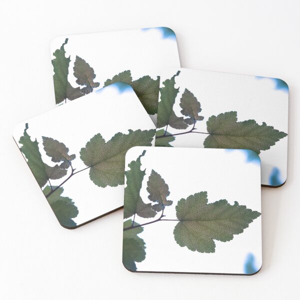 Item preview, Opacity designed and sold by Sovae.