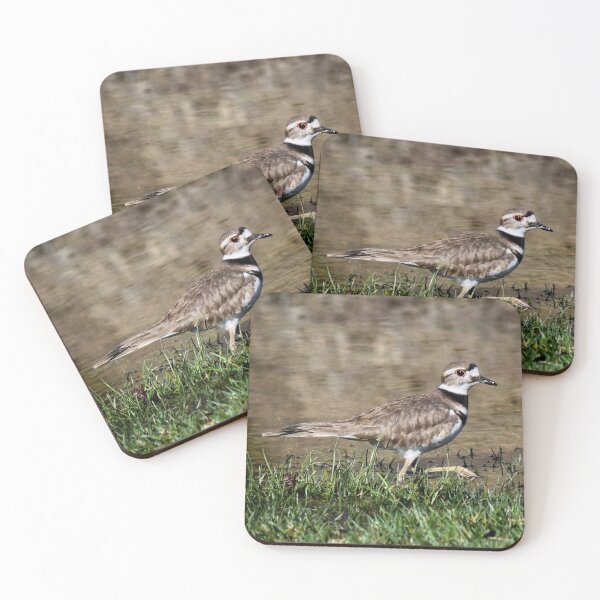 Item preview, Killdeer designed and sold by Dana Hardy.