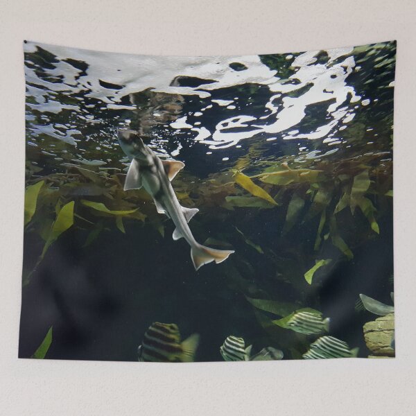Item preview, Fish Underwater designed and sold by AJ505.