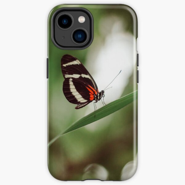 Butterfly nature photograph iPhone Tough Case