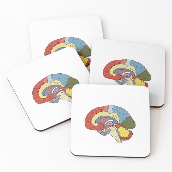 Item preview, Brain Anatomy Labeled designed and sold by AtlasPrints.