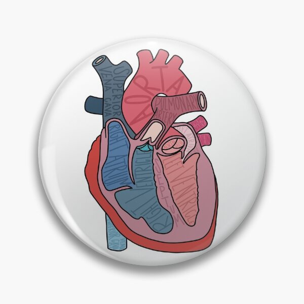 Item preview, Heart Anatomy Labeled designed and sold by AtlasPrints.