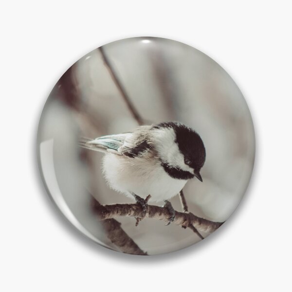 Item preview, Chickadee in winter photograph designed and sold by hashtagmorg.