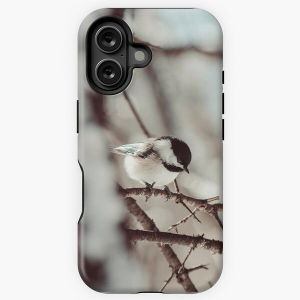 Chickadee in winter photograph iPhone Tough Case