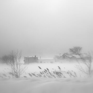 Artwork thumbnail, Snowed In ? by Elfriede Fulda