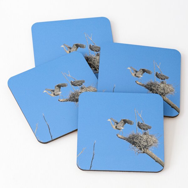 Item preview, Heron on Nests 8 - UW Arboretum, Madison, WI designed and sold by StevenRalserPhoto.