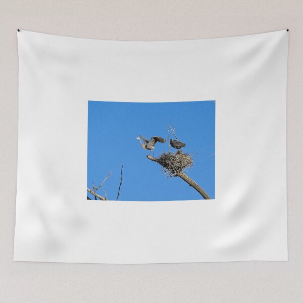 Item preview, Heron on Nests 8 - UW Arboretum, Madison, WI designed and sold by StevenRalserPhoto.
