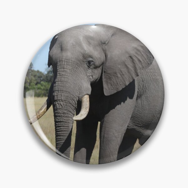 Item preview, Elephant who comes to drink designed and sold by EstelleRossetti.