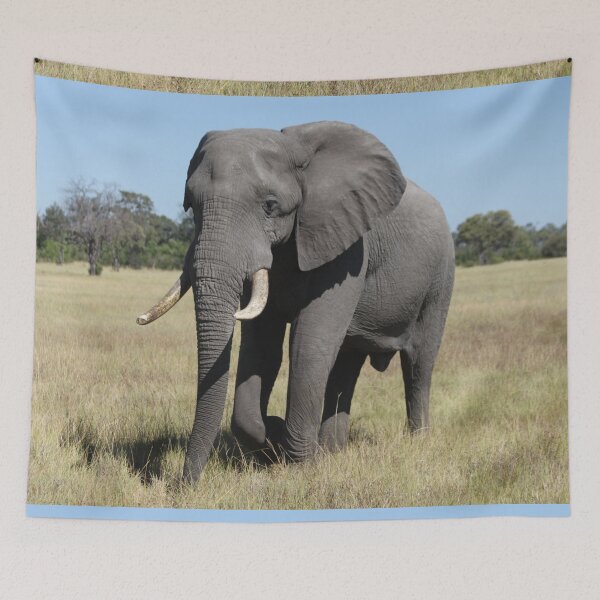 Item preview, Elephant who comes to drink designed and sold by EstelleRossetti.