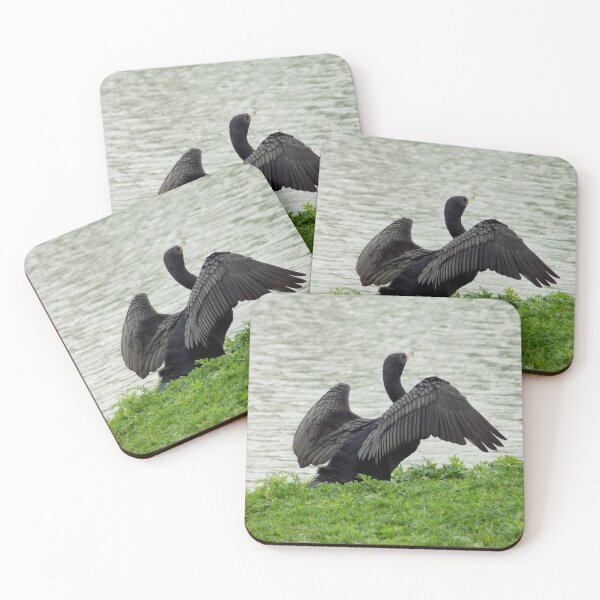 Item preview, Double-crested Cormorant (Phalacrocorax auritus) Drying Off designed and sold by Inuyasha907.