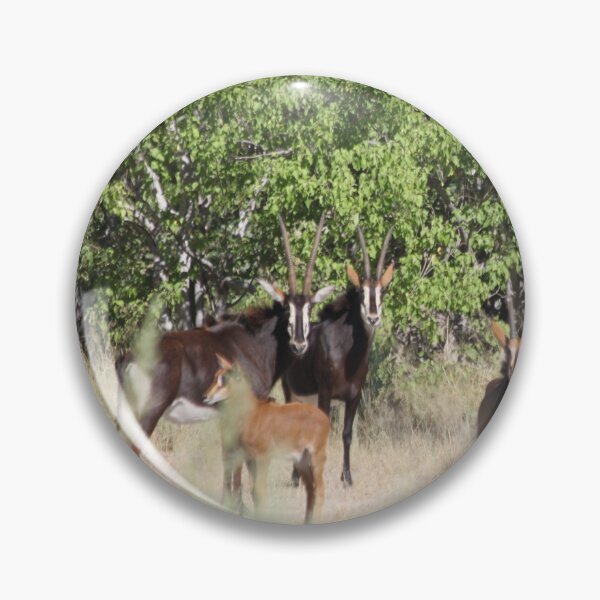 Item preview, Sable antelope Okavango Delta Botswana designed and sold by EstelleRossetti.