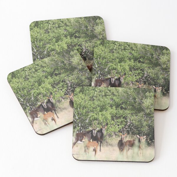 Item preview, Sable antelope Okavango Delta Botswana designed and sold by EstelleRossetti.