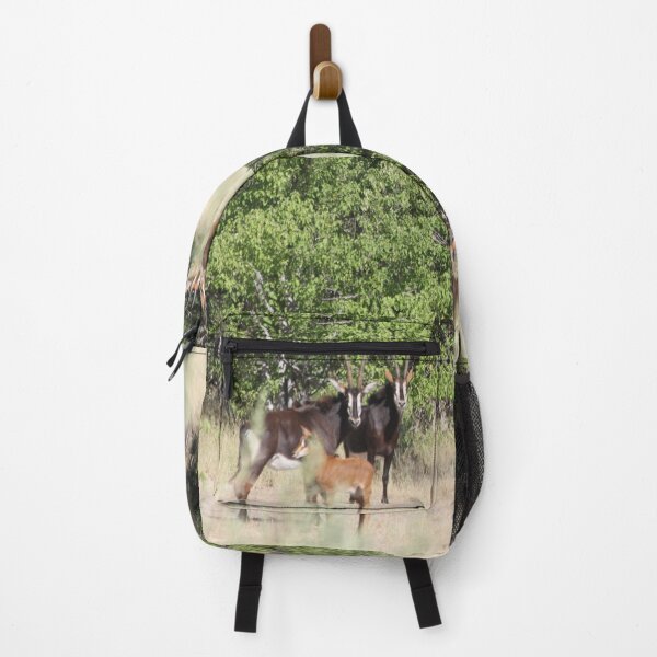 Item preview, Sable antelope Okavango Delta Botswana designed and sold by EstelleRossetti.