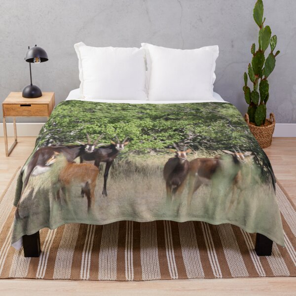 Item preview, Sable antelope Okavango Delta Botswana designed and sold by EstelleRossetti.