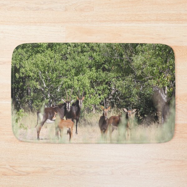 Item preview, Sable antelope Okavango Delta Botswana designed and sold by EstelleRossetti.