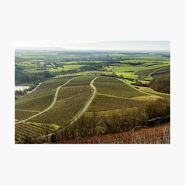 Item preview, Vineyards in Winter, Oberschwarzach, Franconia, Germany. designed and sold by David A. L. Davies.