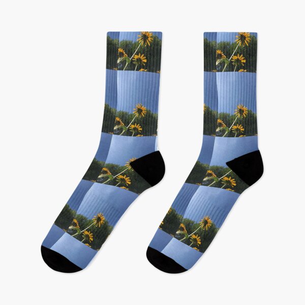 Item preview, Black-Eyed Susans, autumn yellow flowers, blue sky designed and sold by djrunnels.
