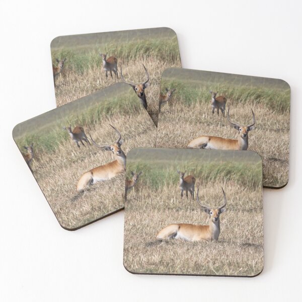 Item preview, Gazelle and antelope group in the bush	 designed and sold by EstelleRossetti.