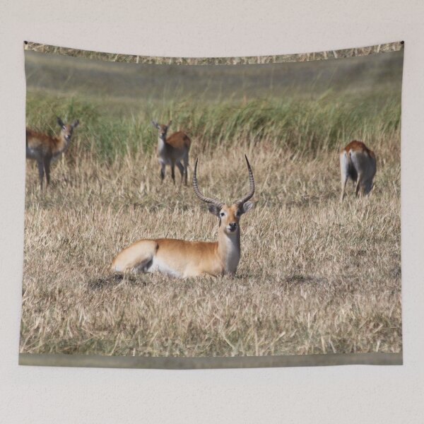 Item preview, Gazelle and antelope group in the bush	 designed and sold by EstelleRossetti.