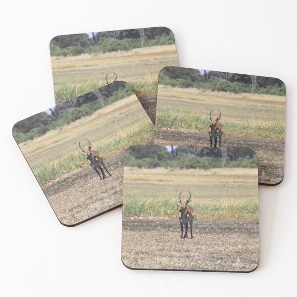 Item preview, Gazelle and antelope group in the bush	 designed and sold by EstelleRossetti.