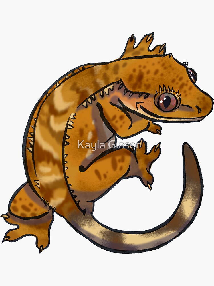 Pin by Noelia Martinez on Ilustraciones | Cute gecko, Cute lizard, Leopard  gecko