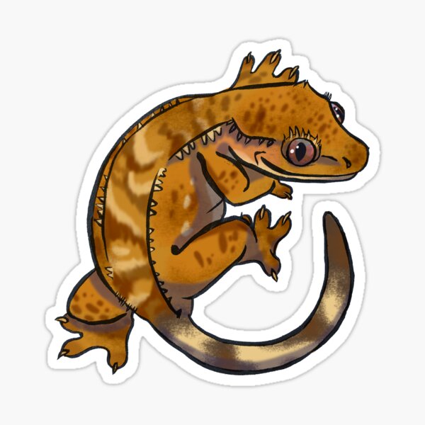 Gecko tattoo  rCrestedGecko