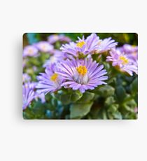 Little flowers Canvas Print