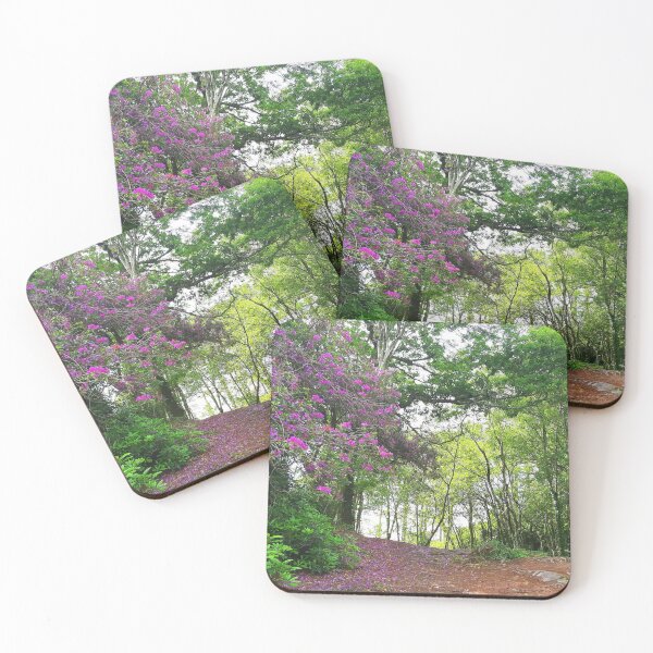 Item preview, Magical Summer Forest  designed and sold by Sarah Wainwright.