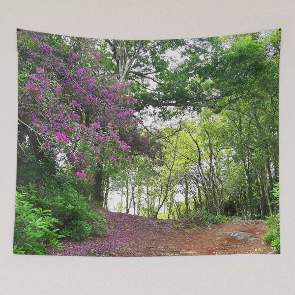 Item preview, Magical Summer Forest  designed and sold by Sarah Wainwright.