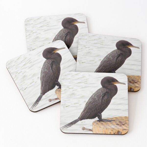 Item preview, Neotropic Cormorant (Phalacrocorax brasilianus) on a Metal Post designed and sold by Inuyasha907.