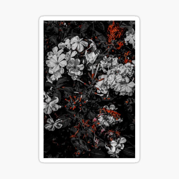 Item preview, white flowers designed and sold by GlowDoodles.