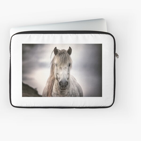 Aperçu de l'œuvre Eriskay poney créée et vendue par JefM.