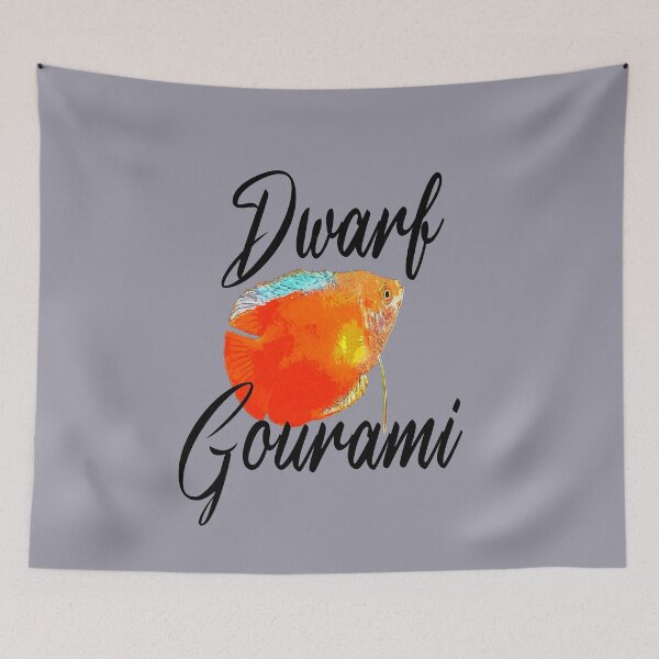 Item preview, Dwarf Gourami designed and sold by GFishy.