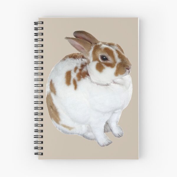 Item preview, Brown and White Rex Rabbit designed and sold by Susan Savad.