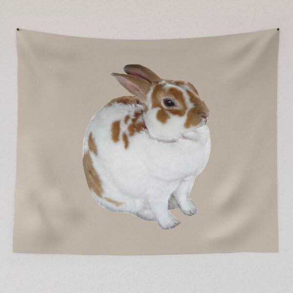Item preview, Brown and White Rex Rabbit designed and sold by Susan Savad.