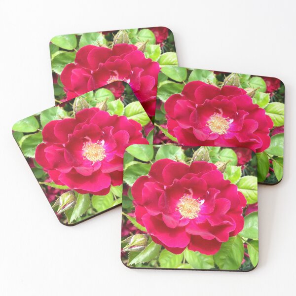 Item preview, Red Rose designed and sold by PATRICK SHELTON.