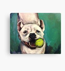 Belle Canvas Print