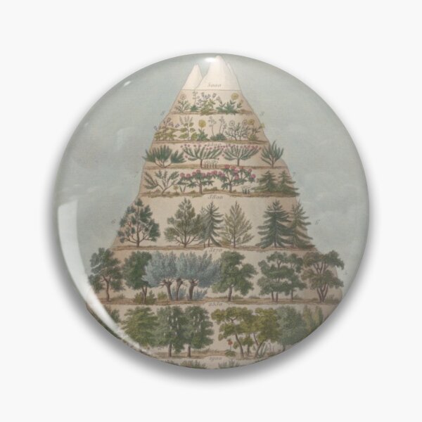 Item preview, Botanical Elevations designed and sold by BlueSpecsStudio.