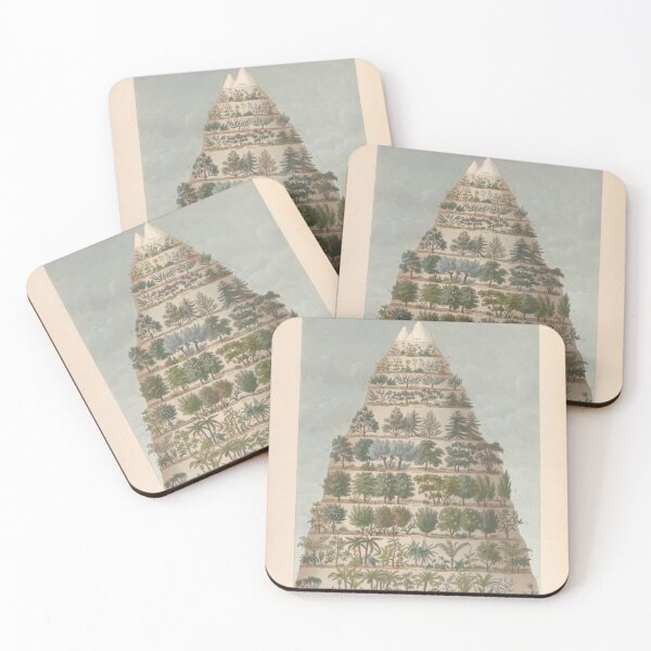 Item preview, Botanical Elevations designed and sold by BlueSpecsStudio.