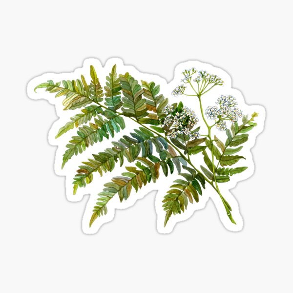 Fern Stickers for Sale