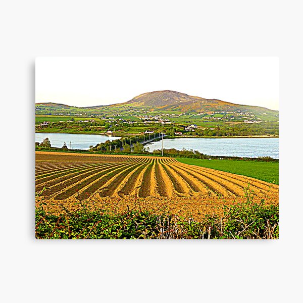 The Causeway To Inch Island Canvas Print