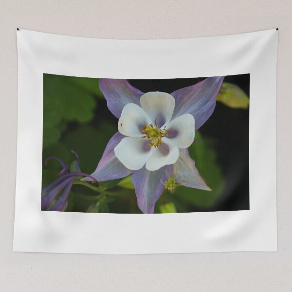 Item preview, Columbine designed and sold by OhSnapPhoto.
