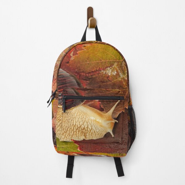 Item preview, Giant african Achatina snail on multicolored autumn grape leaf. designed and sold by IaroslavB.