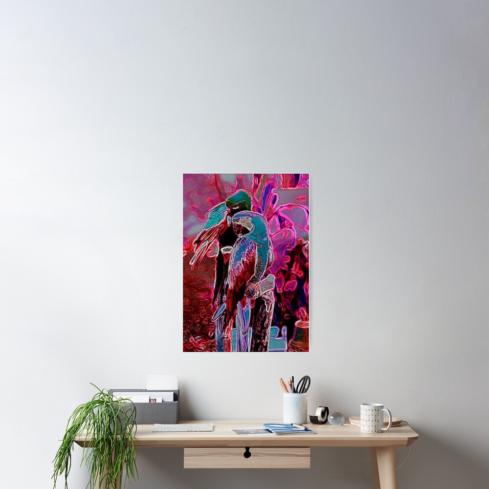 TWO PARROTS Poster