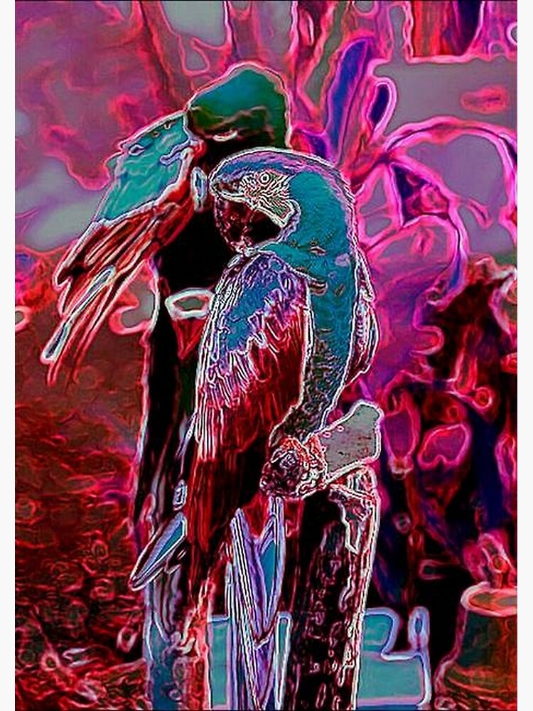 TWO PARROTS by michaeltodd